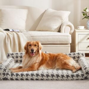 Dog bed, foam sofa structure, removable washable cover structure